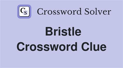 crossword clue bristle